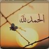 user40943755585155