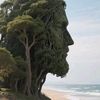padang_katreg