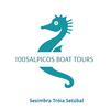 100salpicosboattours