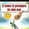 www.comcidelivi