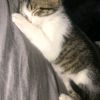 joutam_mama12345678