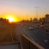 sofiiia_zorrilla