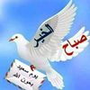 user9179797637902