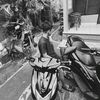 bayu_rianggaaa