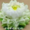 user1nuscn94qd