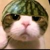 cheangpro