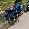 cebok_daun345