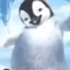 exodexxe