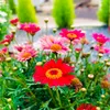 userhalynh0618