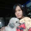yao_576