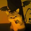 cat727928