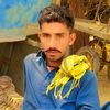 fareed...786...110