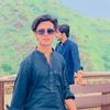 itx_hamzoo01