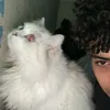 mo_7ad6