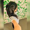 official_honey__08