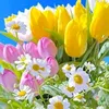 _oksana__777_