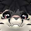 SOFT 🐕🦴