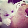 itz.ccheryls230715