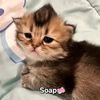 mikimayaaa