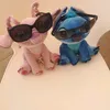 bea_gatito