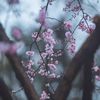 af_9qw