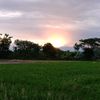 sunarbonang8