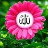 kalam.abul7