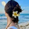 iarasimonelima28