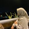 nqezael