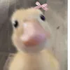 stopchattinabtmeuslag