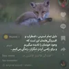 sakinehzahadi