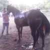 eldelosveras4356