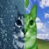 wh1teandgreen