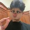 tfunq._.laam