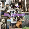 srk_ryttare1