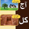 tagharozwanan9