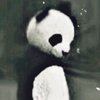 panda.mix7