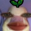 calistaazzhra0