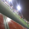andradeb.n.t