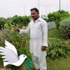naveed.malik099