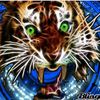 crazytiger795