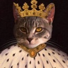 royal.thecat