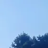 laviniaubenk