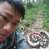 l.thnh1132