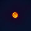 andrew_frm_okc
