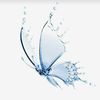 .efrat230