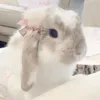 elle౨ৎ