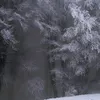 qqpuruqpp