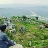 ujangherman263