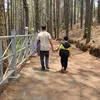 anh_manh_vao